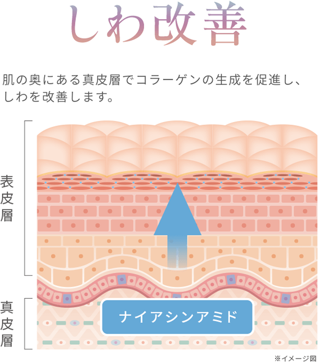 しわ改善 肌の奥にある真皮層でコラーゲンの生成を促進し、しわを改善します。