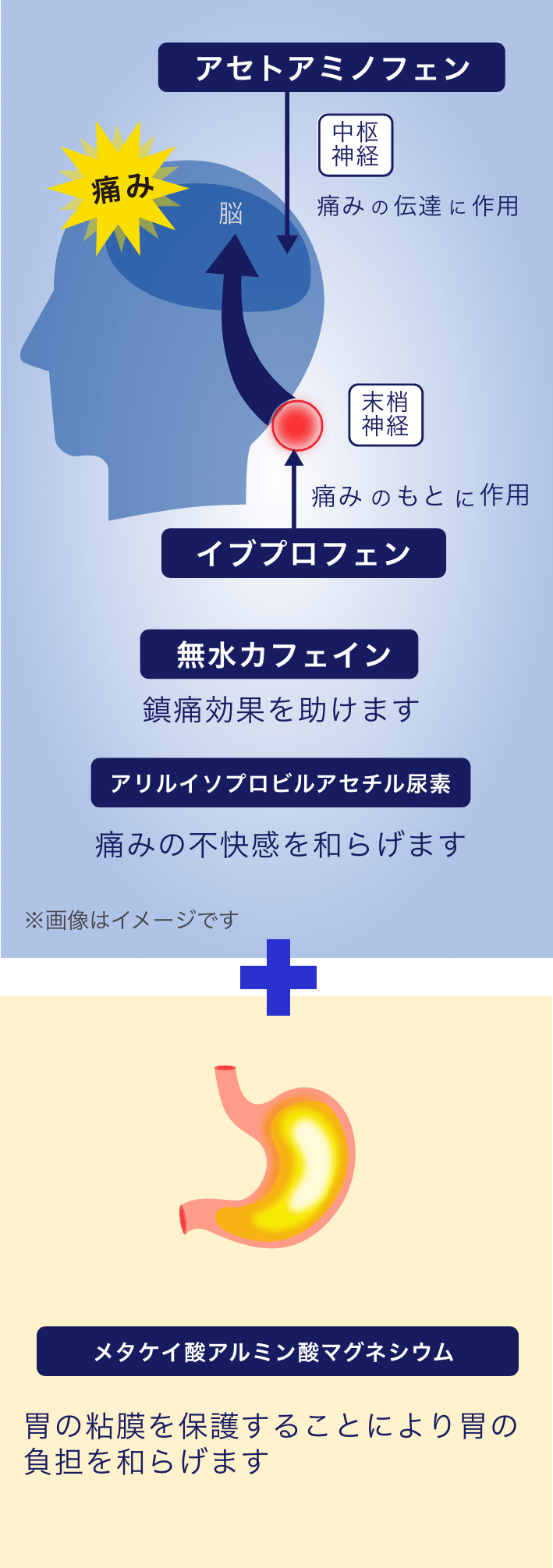 鎮痛効果を助け、痛みや胃の負担を和らげます