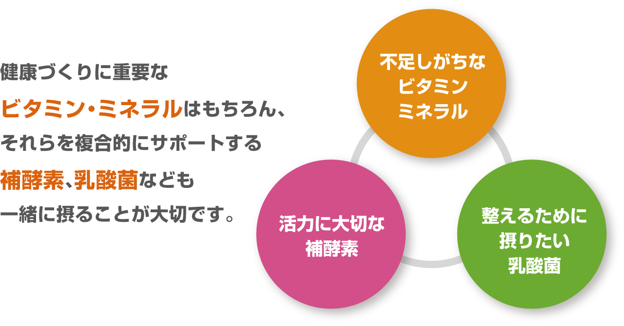 健康づくりに重要なビタミン・ミネラルはもちろん、それらを複合的にサポートする補酵素、乳酸菌なども一緒に摂ることが大切です。