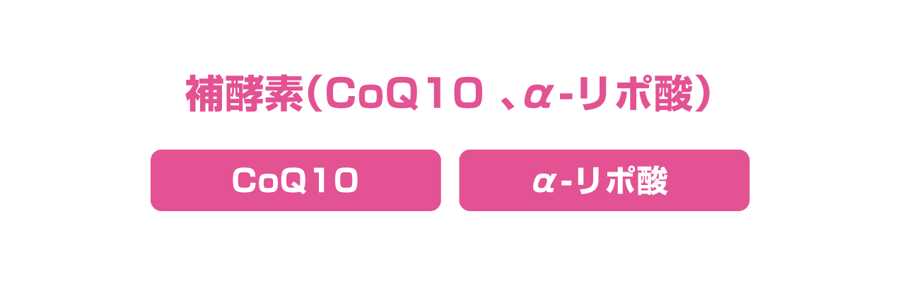 補酵素(CoQ10 、α-リポ酸
