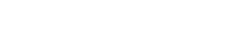 配合成分