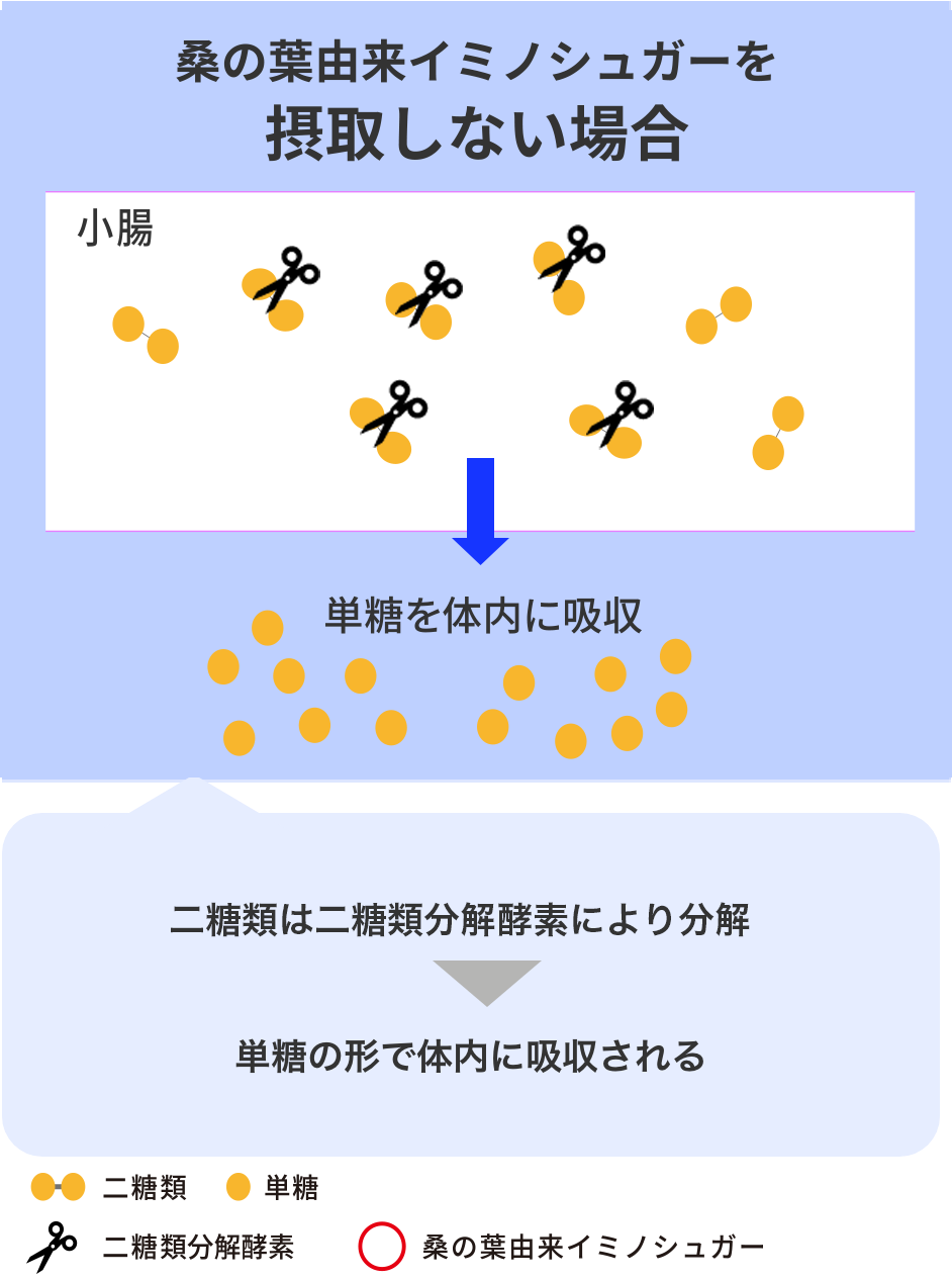 桑の葉由来イミノシュガーを摂取しない場合