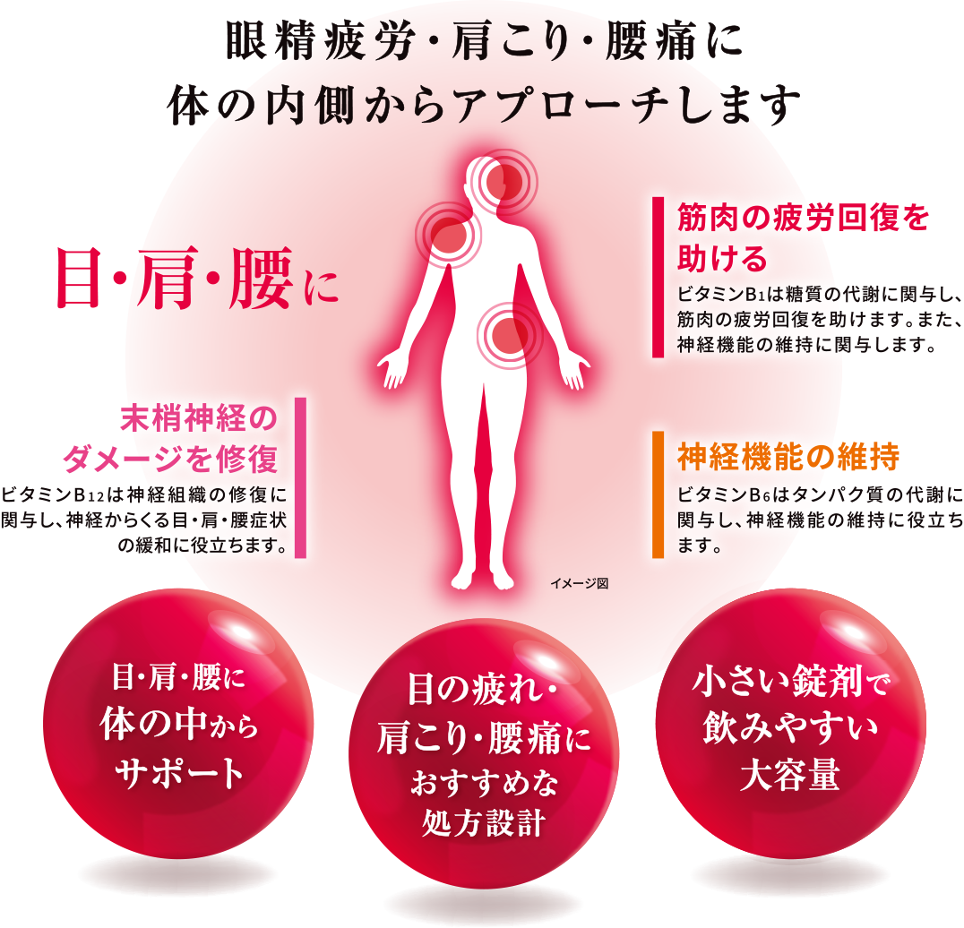 眼精疲労・肩こり・腰痛に体の内側からアプローチします