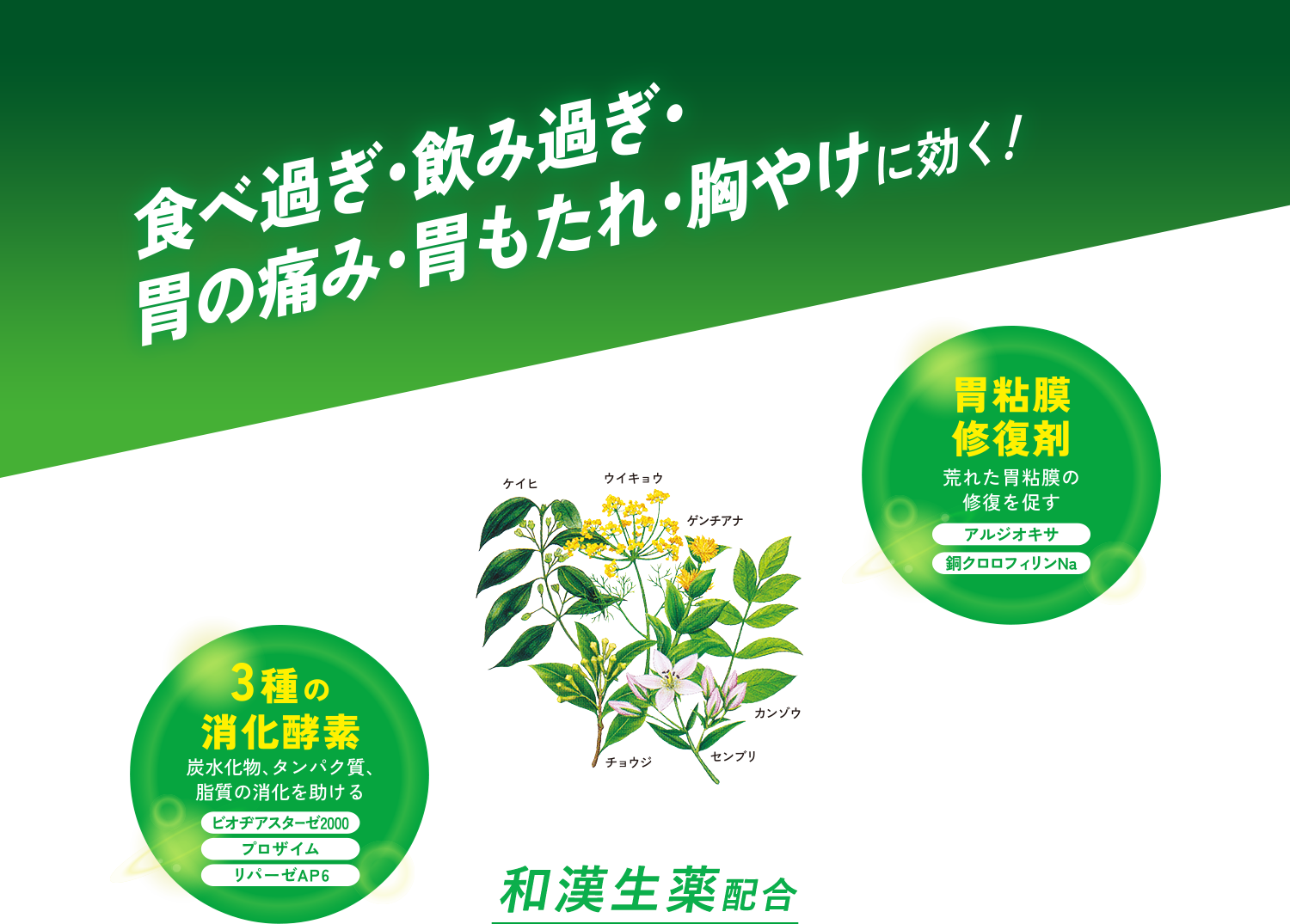 食べ過ぎ・飲み過ぎ・胃の痛み・胃もたれ・胸やけに効く！ 胃粘膜修復剤 3種の消化酵素 和漢生薬配合