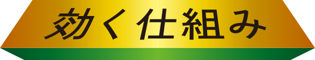 効く仕組み