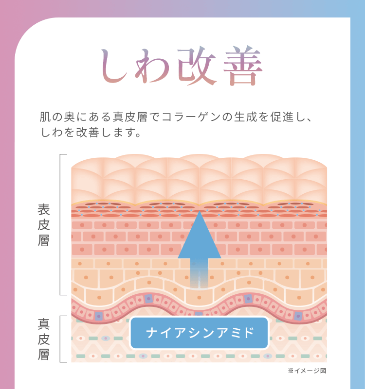 肌の奥にある真皮層でコラーゲンの生成を促進。