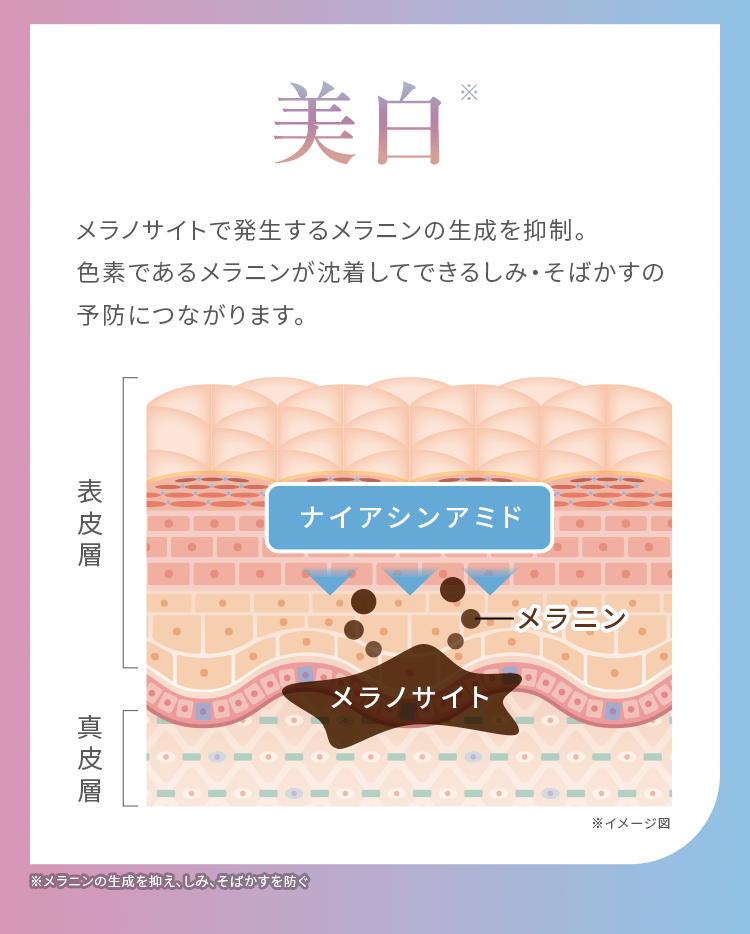 メラニンサイトで発生するメラニンの生成を抑制。