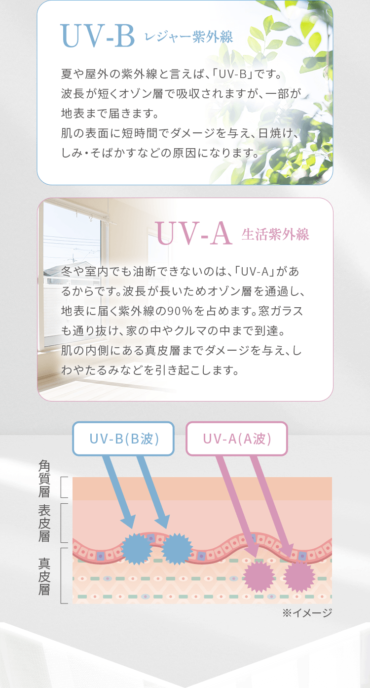UV-B：レジャー紫外線は短時間でダメージを与え、日焼け、しみ・そばかすの原因になります。UV-A：生活紫外線は真皮層あでダメージを与え、しわやたるみなどを引き起こします。