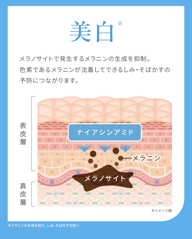 メラニンサイトで発生するメラニンの生成を抑制。