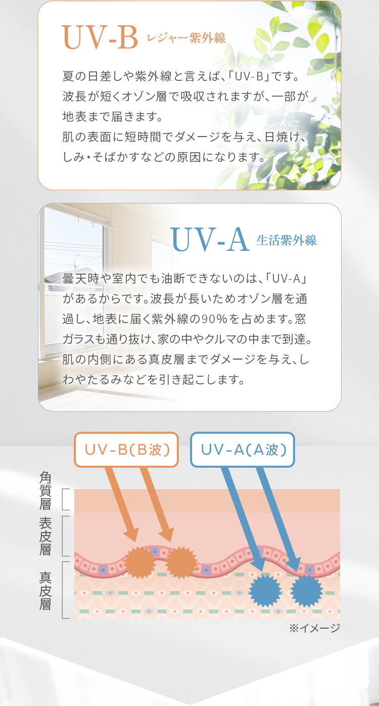 UV-B：レジャー紫外線は短時間でダメージを与え、日焼け、しみ・そばかすの原因になります。UV-A：生活紫外線は真皮層あでダメージを与え、しわやたるみなどを引き起こします。