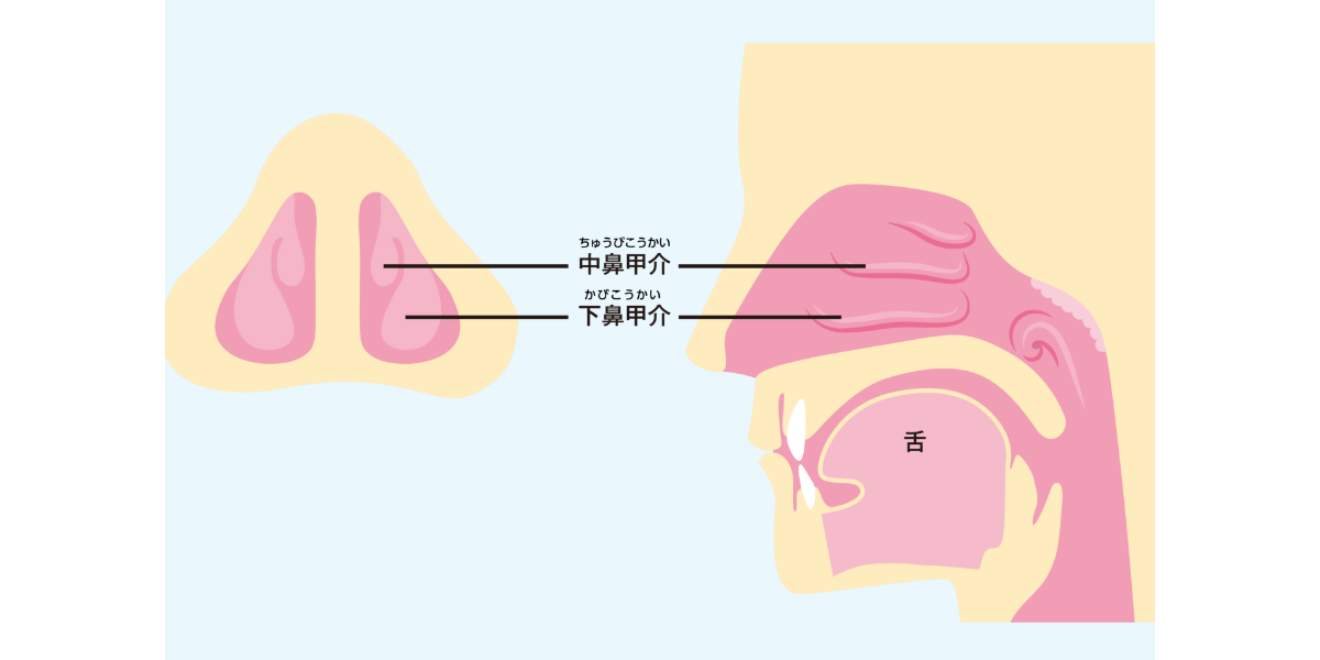 なぜ花粉が鼻づまりの原因に?