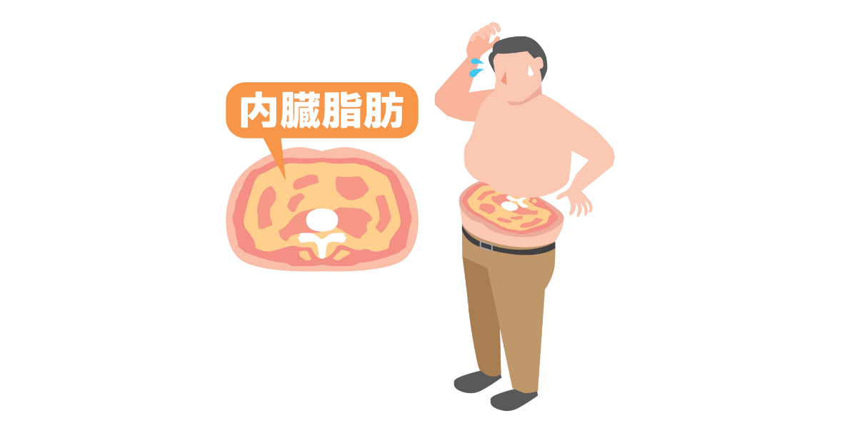 内臓脂肪とは?