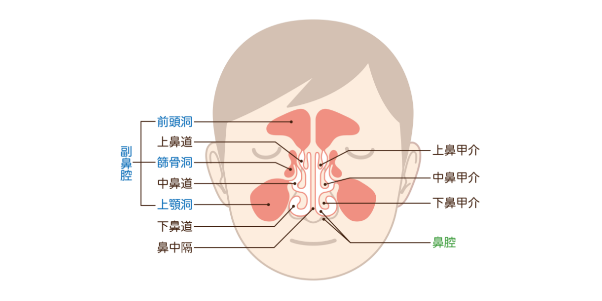 鼻水(鼻汁)が過剰に出る原因は?