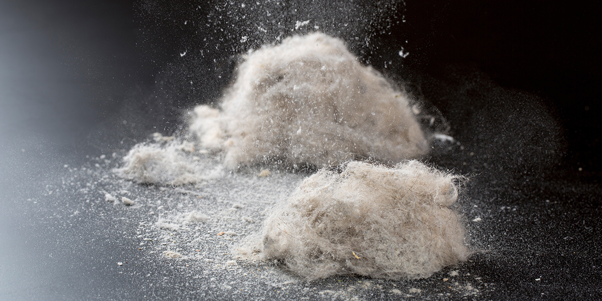 目のかゆみの原因